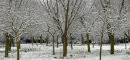 Winters Morning